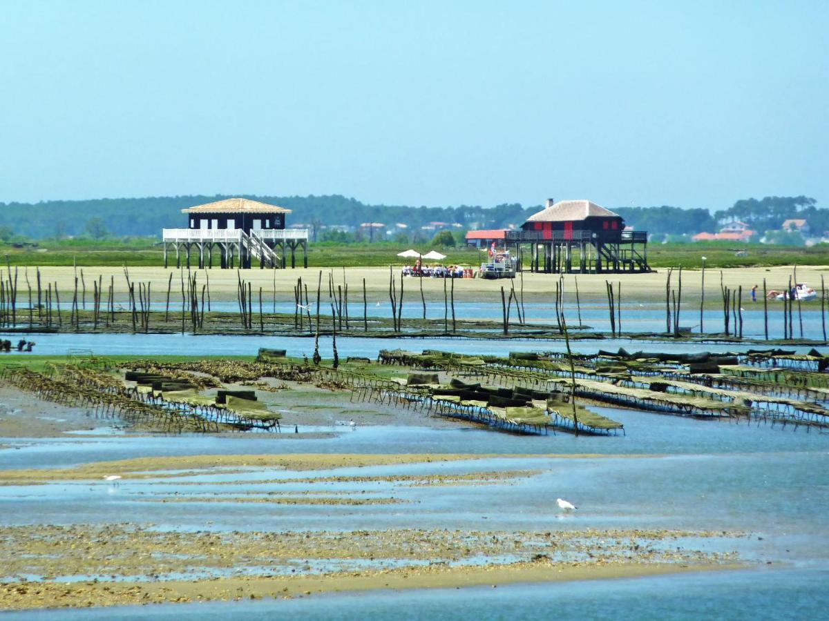 Les Pieds Dans L'eau By Interhome Apartment Arcachon
